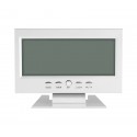 SVEGLIA OROLOGIO DATARIO DIGITALE TERMOMETRO DISPLAY LCD ILLUMINAZIONE COMODINO