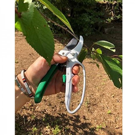 Forbici Cesoie da potatura a cricchetto pota giardino antiscivolo acciaio 22cm