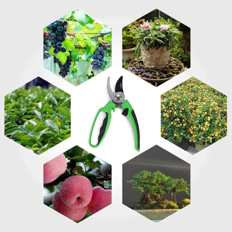 Hongu Forbici Cesoie da potatura taglia rami pota giardino antisciv...