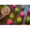 Generico SET 12 CANDELE PROFUMEATE in VASETTO VETRO LOLLIPOP AMBIEN...