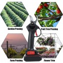 Forbici potatura cesoie a batteria 24V cordless taglio 30mm pota rami valigetta