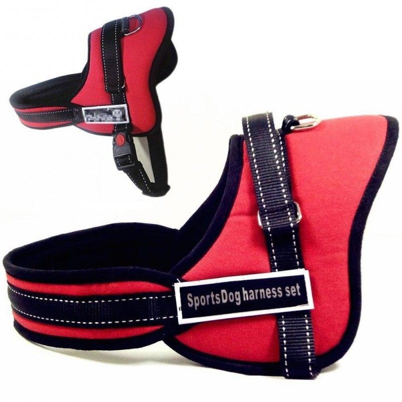 Pettorina Taglia M Sportdog Harness Cinghia per cani