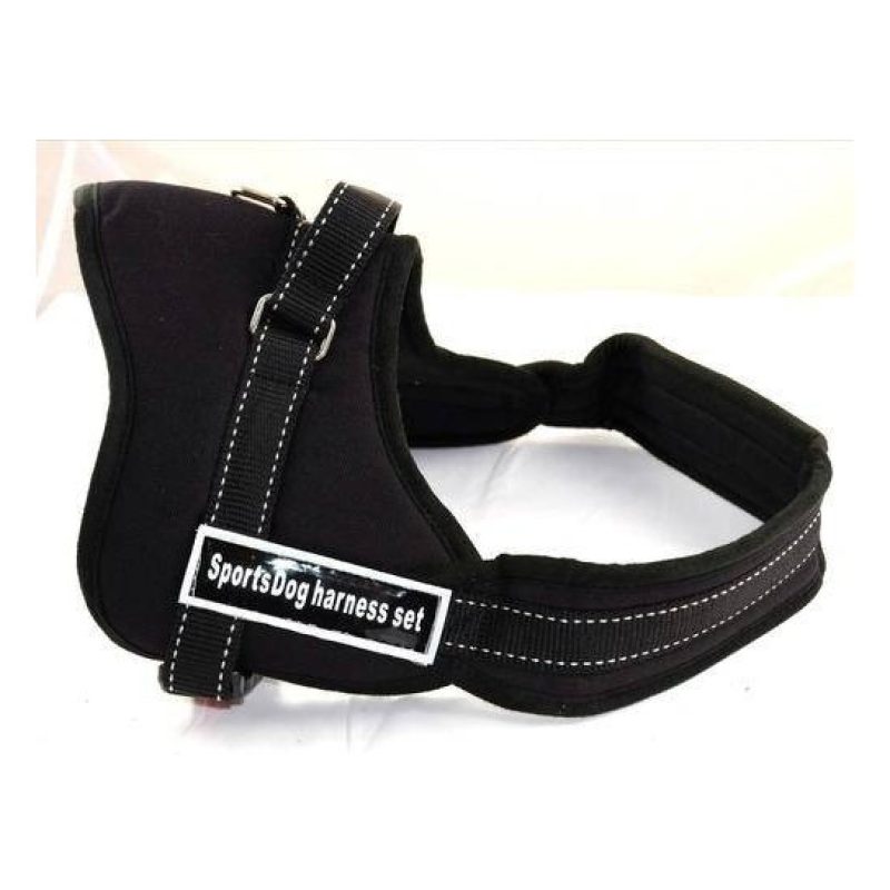 Pettorina Taglia M Sportdog Harness Cinghia per cani