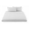 Passion tienne Lenzuola Sotto con Angoli MAXI piazza e mezza cotone...
