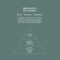 Profumatore ambiente con bastoncini Diffusore Bergamotto di Calabria deodorante