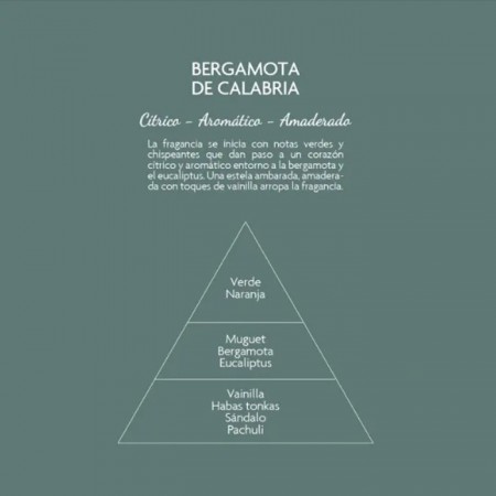 Profumatore ambiente con bastoncini Diffusore Bergamotto di Calabria deodorante
