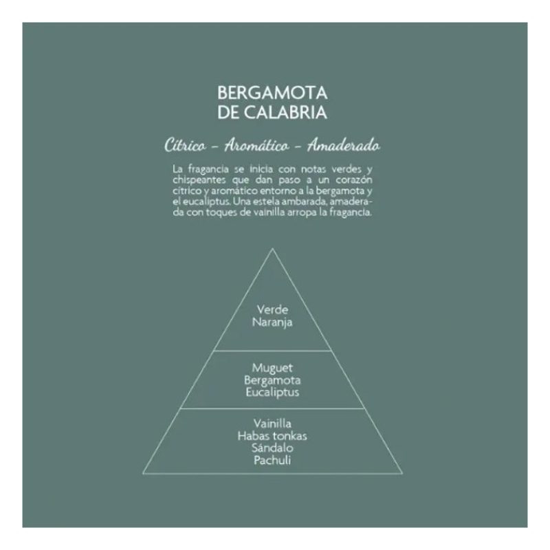 Profumatore ambiente con bastoncini Diffusore Bergamotto di Calabri...