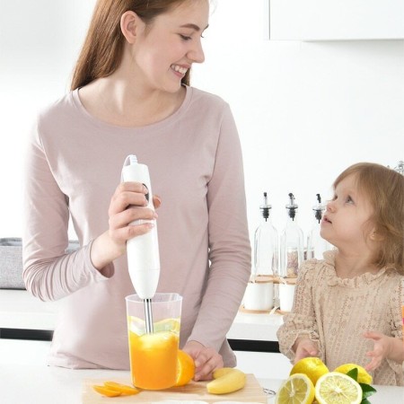 Frullatore ad immersione 3 in 1 lame acciaio 250W sbattitore tritatutto cucina