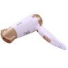 DW-1202 Asciugacapelli oro bianco portatile viaggio pieghevole 1700W phon