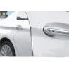 Top Style Drive Alluminio salvaporta esterno auto protezione portie...