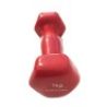 Coppia Manubri pesi in vinile peso da palestra esagonali da 1Kg a 6Kg - Blu o Rossi secondo disponibilità