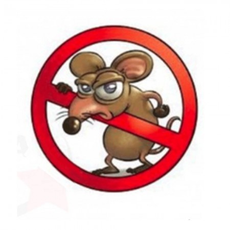 Topicida veleno per topi ratti pasta blu esca da 1,53kg rodenticida Protemax