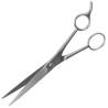Forbici da parrucchiere sforltire codina hair styling capelli acciaio