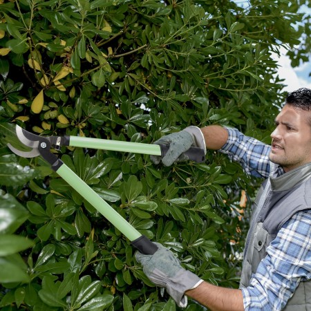 Troncarami Tagliarami Cesoie Potatura Rami Forbice Forbicione Siepi 58 cm Pota