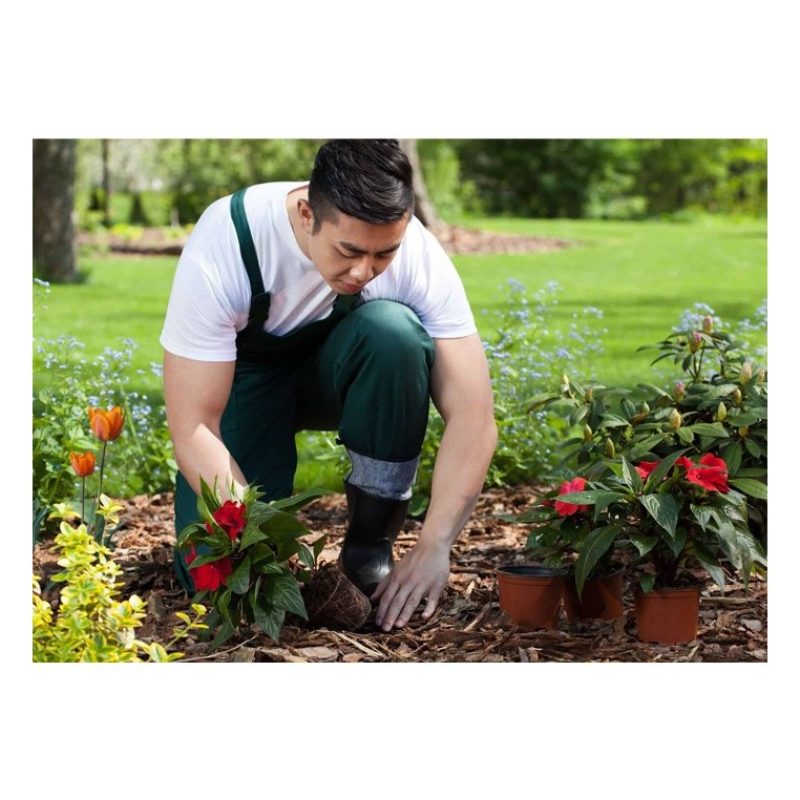 WeHome Scopetta rastrello aiuole cura del Giardino e Orto 9 denti a...