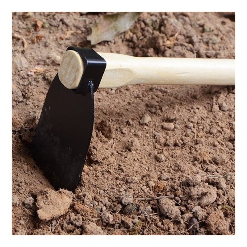 WeHome Zappetta zappa con manico legno 36 cm orto giardino testa in...