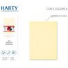 Harty Carta Colorata A4 21x29 cm 180 gr 50 Fg vari colori risma ros...