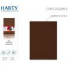 Harty Carta Colorata A4 21x29 cm 180 gr 50 Fg vari colori risma ros...