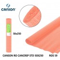 10 Rotoli Di Carta Crespa 30gr 50x250 cm colori assortiti fai da te Canson