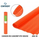 10 Rotoli Di Carta Crespa 30gr 50x250 cm colori assortiti fai da te Canson