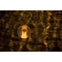 Dispenser di Cloro in pastiglie piscine Distributore Dosatore luce LED Bestway