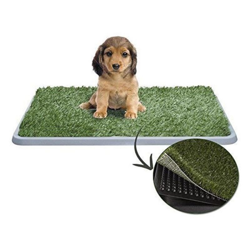 Hongu Lettiera MAXI assorbente per cucciolo cane con erba sintetica...