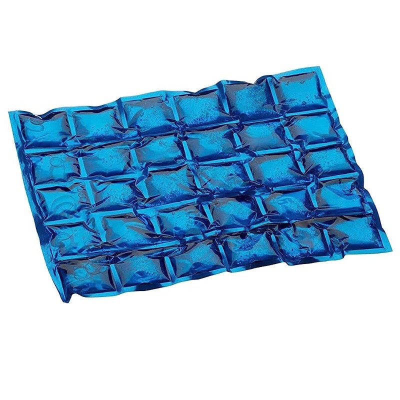 Confezione Da 4 Sacchetti Ghiaccio Riutilizzabili Per Frigoriferi Da Campeggio - 25x25 Cm
