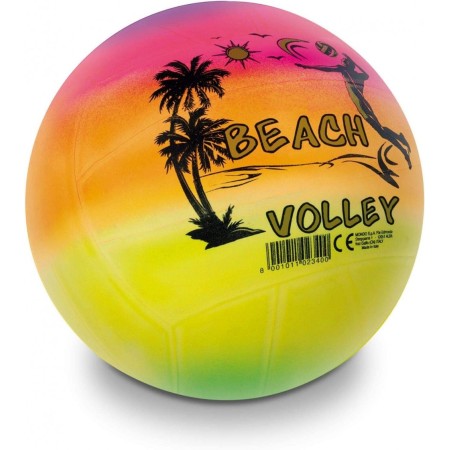 Pallone Pallavolo palla gioco Beachvolley Mare spiaggia Arcobaleno rainbow