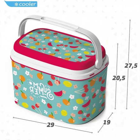 Frigo frigorifero 6lt termico passivo rigido portatile in plastica antigraffio