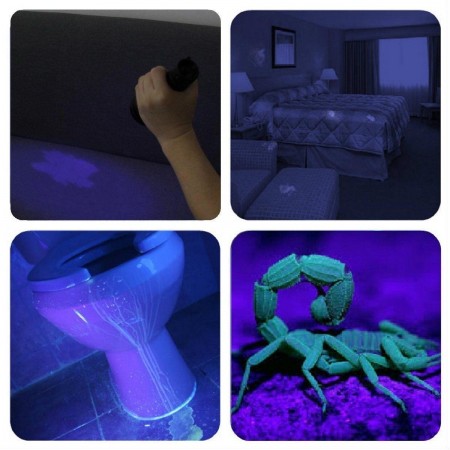 51 LED UV Mini torcia portabile raggi violetti ispeziona macchie fluidi batterie