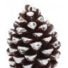Hongu Candele natalizie 6 pezzi pigna innevata decorative casa con ...