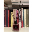 Profumatori Profumi per Ambiente da 100ml Diffusore Aromi a Bastoncini con Cubo