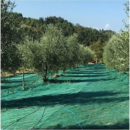 Telo rete raccolta olive antispina antistrappo occhiellato rinforzato 90 gr/mq