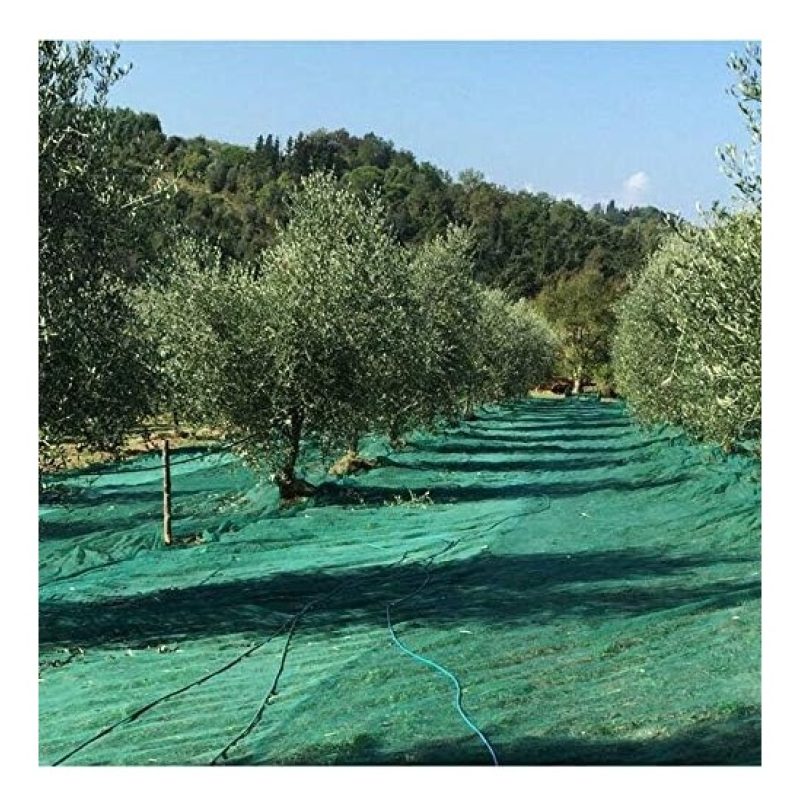 Telo rete raccolta olive antispina antistrappo occhiellato rinforza...