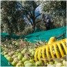 Hongu 10x Rastrelli raccolta olive pettine 9 denti foro per manico ...