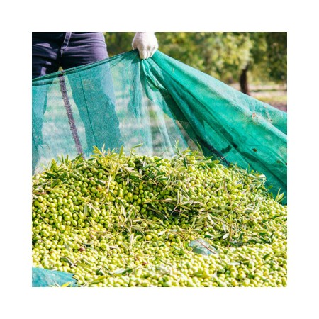 10x Rastrelli raccolta olive pettine 9 denti foro per manico rastrello plastica