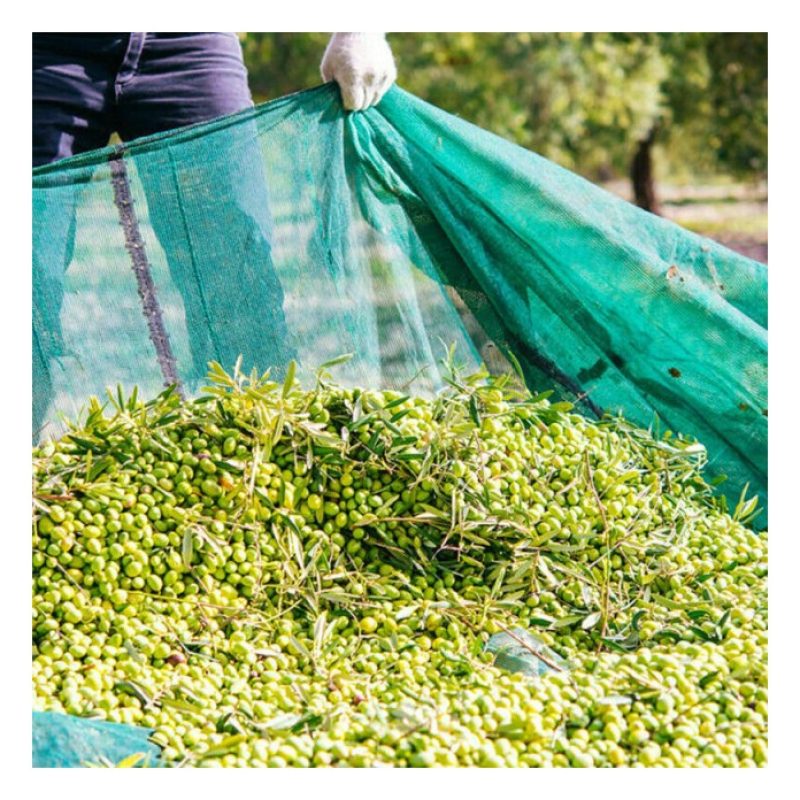 Hongu 10x Rastrelli raccolta olive pettine 9 denti foro per manico ...