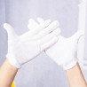 Hongu 24 PAIA GUANTI COTONE BIANCHI CAMERIERI BIOLOGICA LAVORO DIAM...