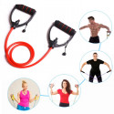 Elastici Fitness Banda Elastica di Resistenza Allenamento Fascia 30lb regolabile