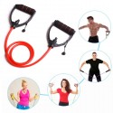 Elastici Fitness Banda Elastica di Resistenza Allenamento Fascia 30lb regolabile