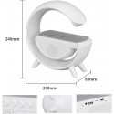 Lampada LED RGB con Ricarica Wireless Bluetooth Speaker Ricaricabile Radio FM SD