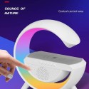 Lampada LED RGB con Ricarica Wireless Bluetooth Speaker Ricaricabile Radio FM SD