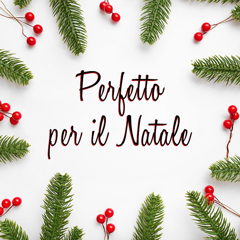 AD Trend Decorazione Natalizia scatola renna in ceramica contenitor...
