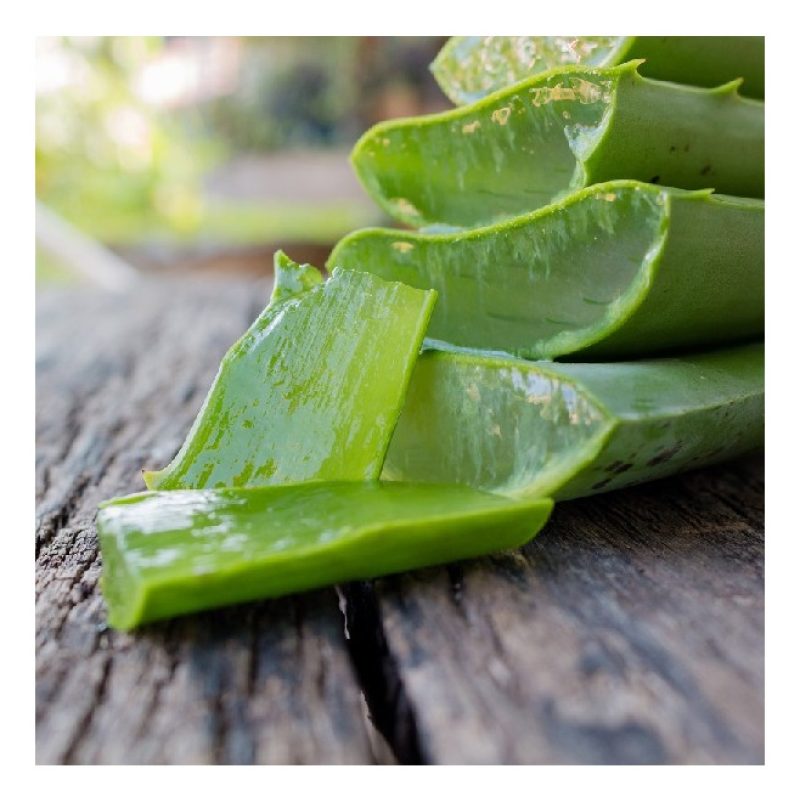 Farma+Line 120 Salviette intime umidificate con aloe vera FARMA+LIN...