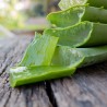 Farma+Line 120 Salviette intime umidificate con aloe vera FARMA+LIN...