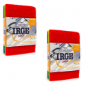 8 spugne fibra abrasiva IRGE casa forte multicolore lavello pentole cucina 10x15cm