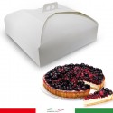 Scatole Porta Torte in Cartone Economiche 10 PZ Quadrate bianco varie misure