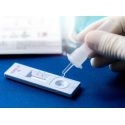5 Tampone Tamponi Rapidi Sars-cov-2-covid Reagen 19 bocca e nasale 3 gocce