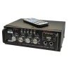 Amplificatore stereo microfono due ingressi USB karaoke radio FM AUX musica