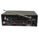 Amplificatore stereo microfono due ingressi USB karaoke radio FM AUX musica